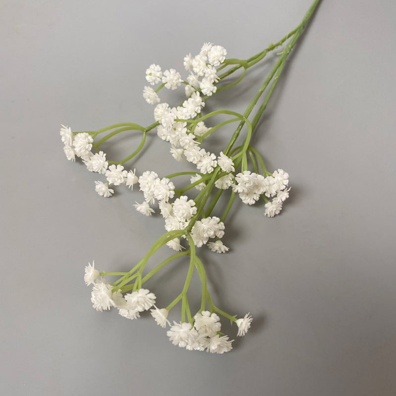 preserved_gypsophila_vintage_brown