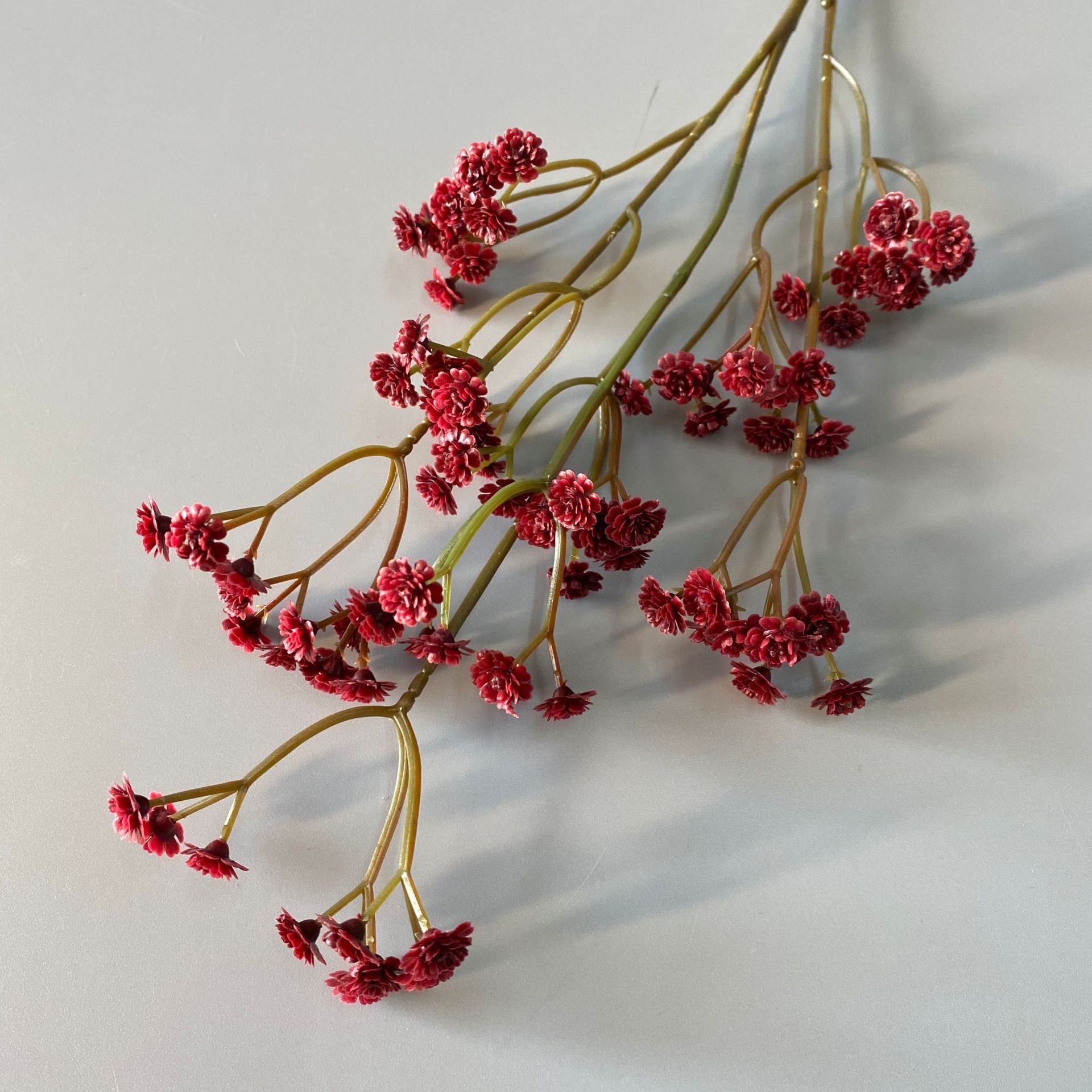 preserved_gypsophila_soft_apricot