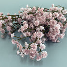 preserved_baby_breath_pink_bouquet