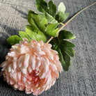 wood_background_chrysanthemum_assortment