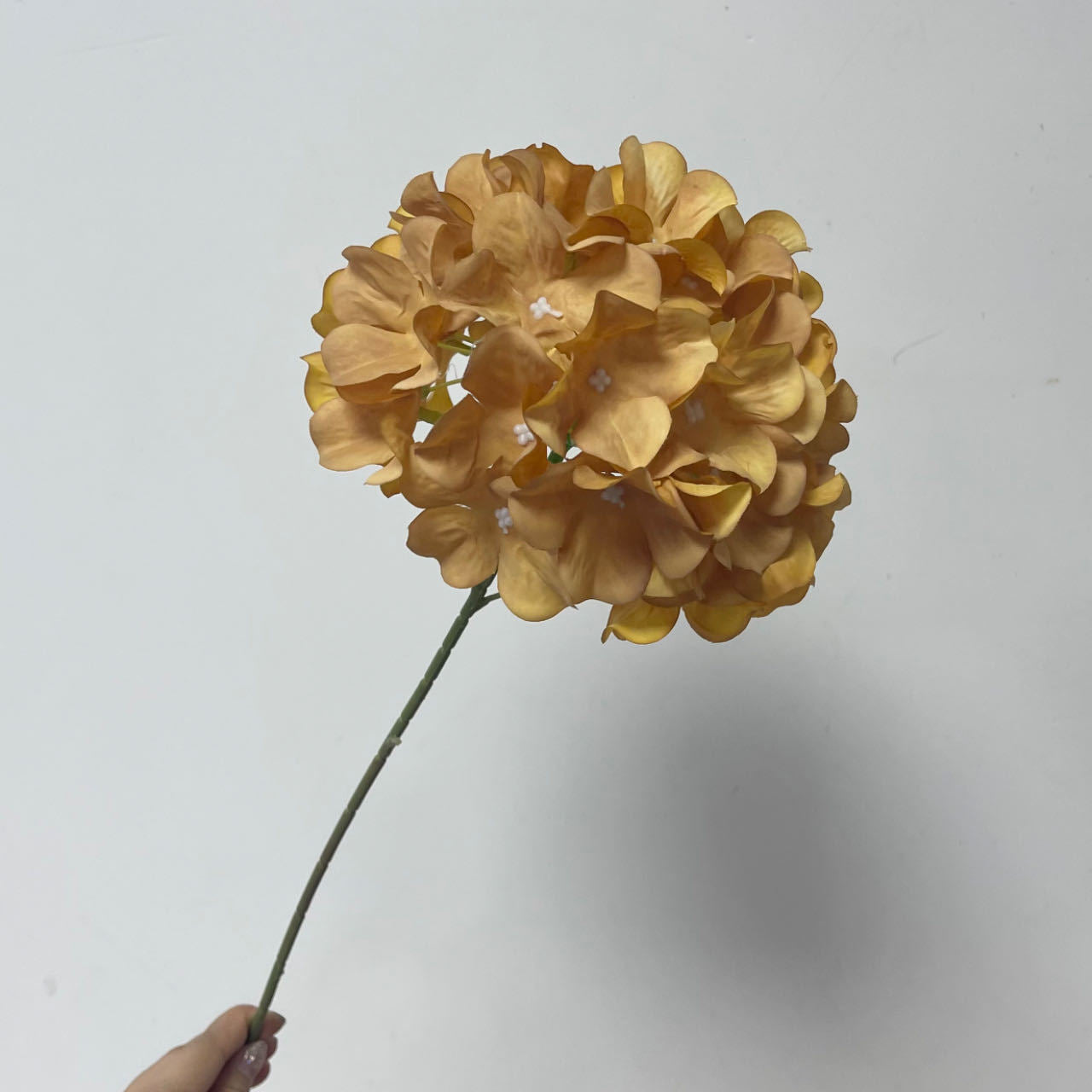 party-centerpiece-hydrangea