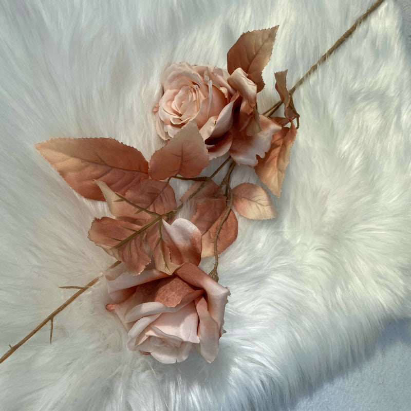 blush_mocha_rose_two_blooms