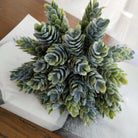 rust_pinecone_bush_table_center