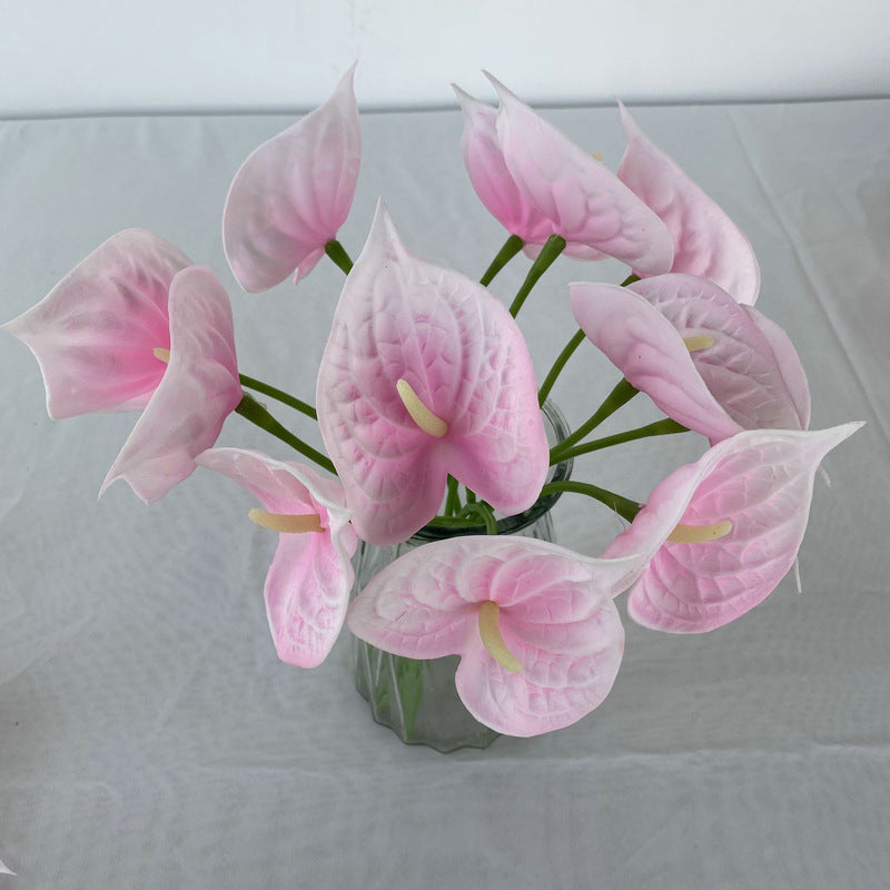 canary_palm_heart_flower