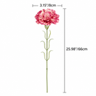 coral_carnation_gift_bouquet