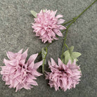 bulk_assorted_dahlia_flower_stems