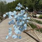 Burgundy hanging lantern pod flower