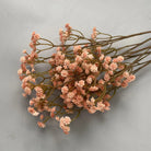 preserved_gypsophila_mauve_baby_breath
