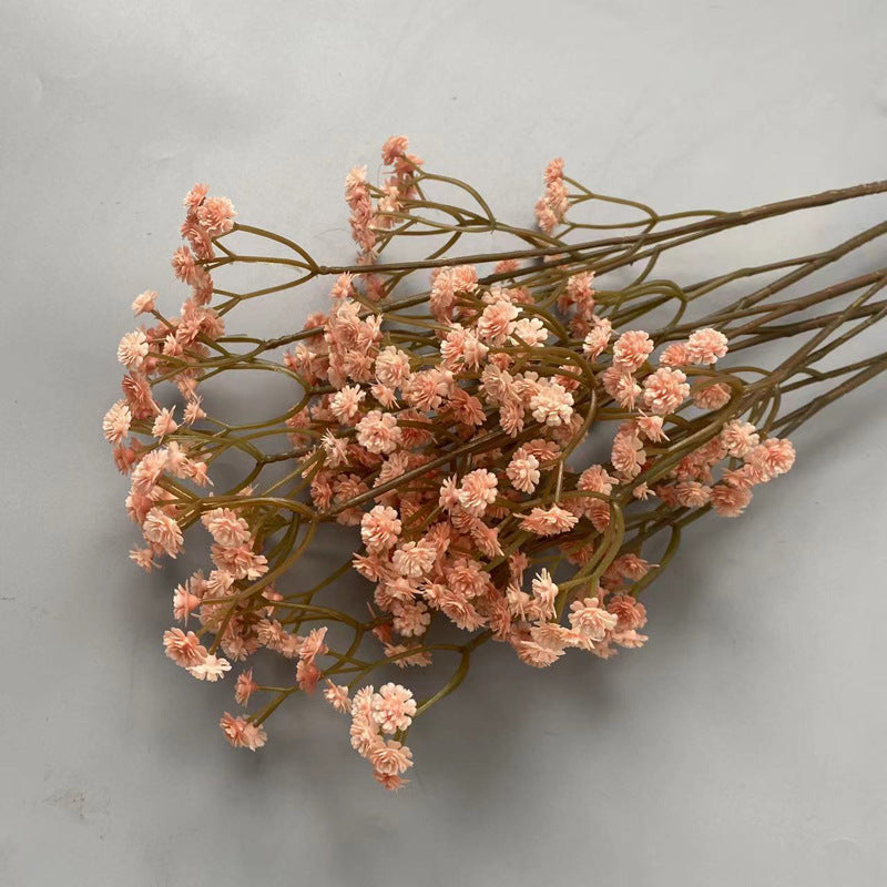 preserved_gypsophila_mauve_baby_breath