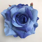 mixed_warm_cool_rose_head_assortment