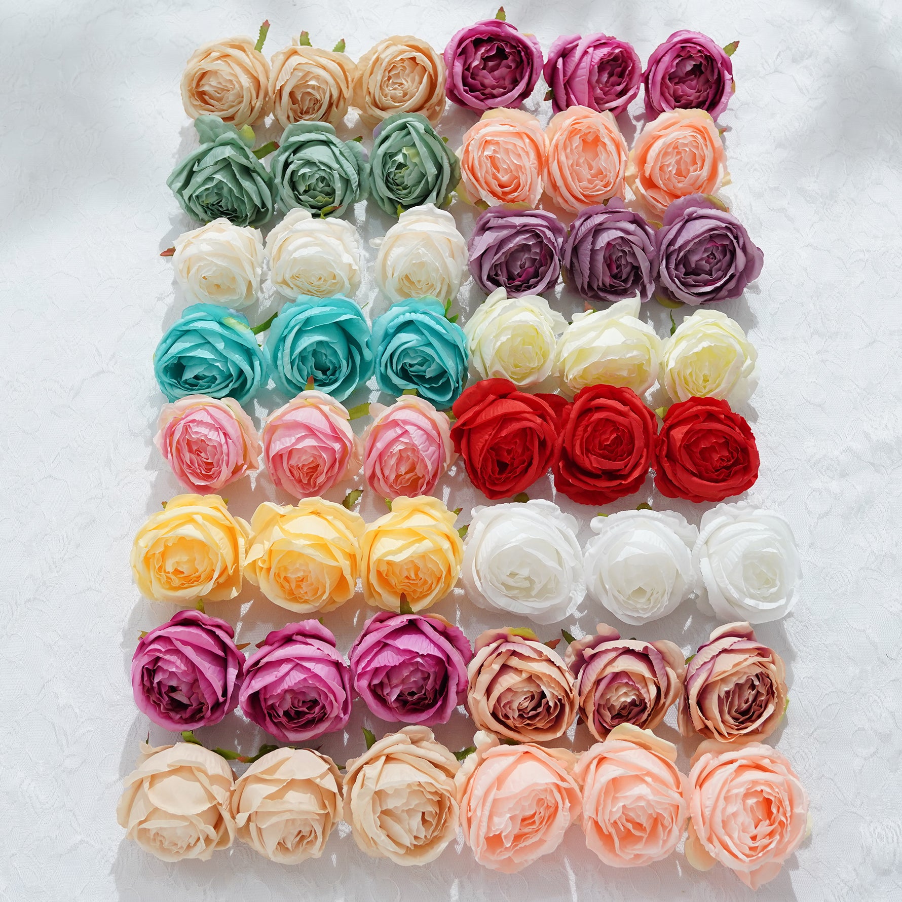 mixed color rose flower head