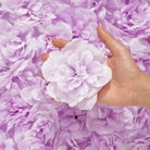 purple-flower-bloom