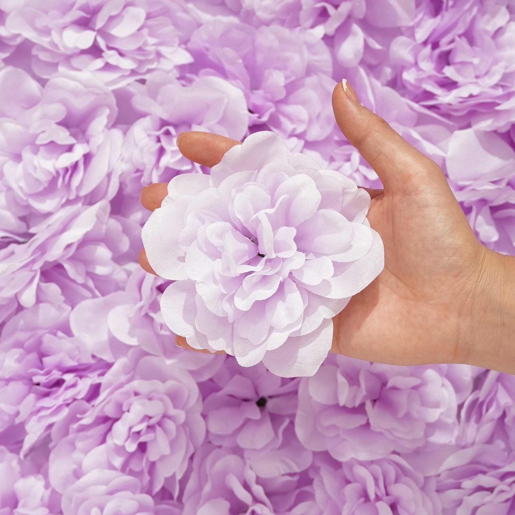 purple-flower-bloom