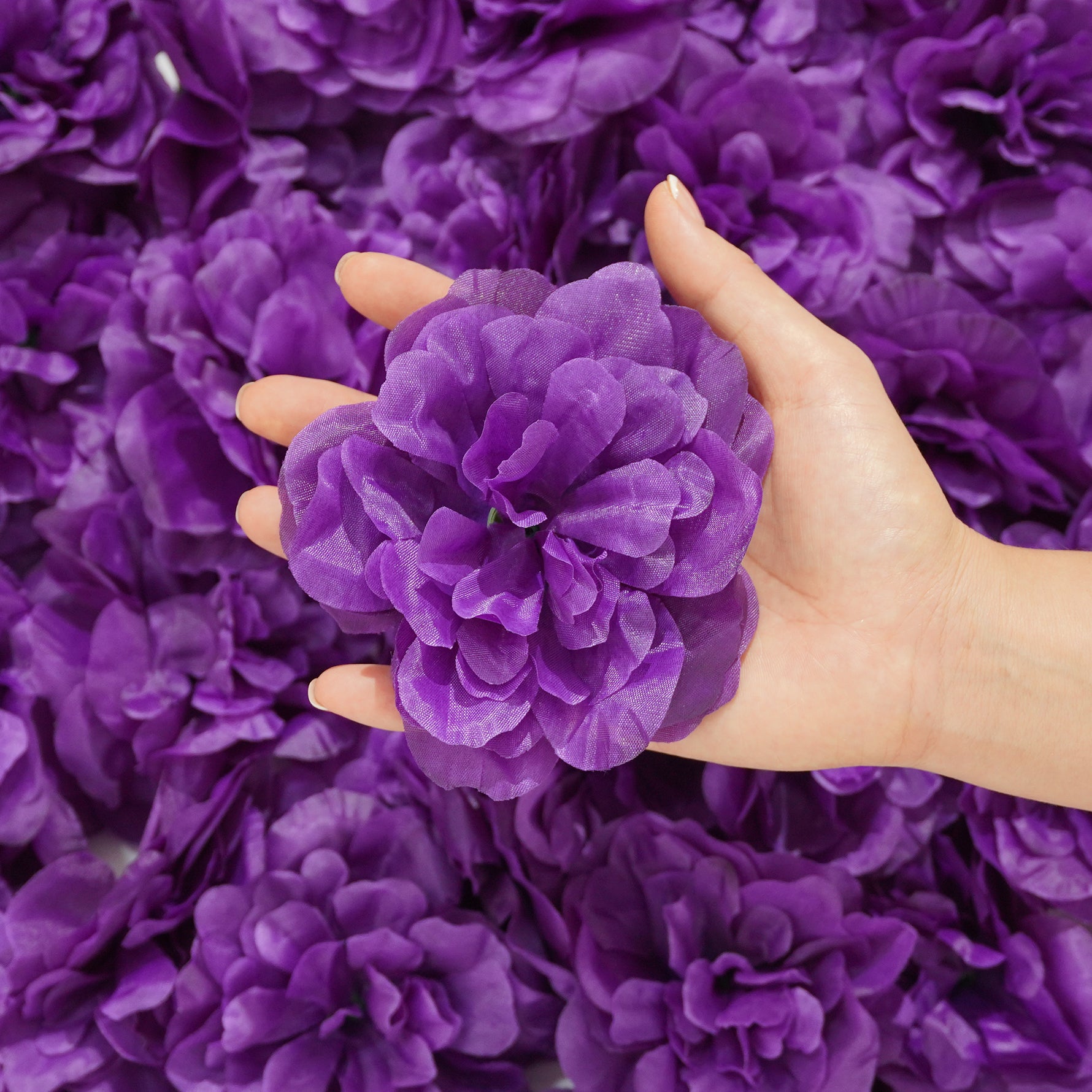 mixed-color-blooms