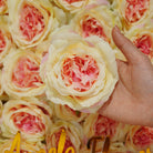 Artificial rose hair accessory flower
