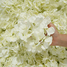 
lace-background-silk-hydrangea-heads