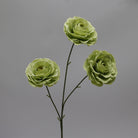 silk_ranunculus_vibrant_pink