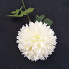crimson_red_pom_pom_flower_single_stem