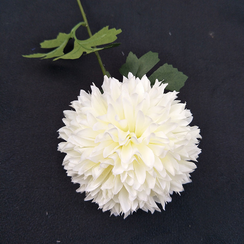 crimson_red_pom_pom_flower_single_stem