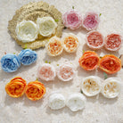 assorted_silk_rose_heads_hand_hold_shot