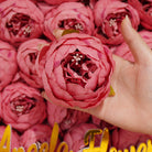 Off cream silk ranunculus bulk blooms
