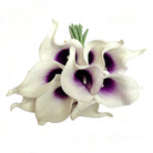 Colorful PU Calla Lily Fake Flower Bulk Pack