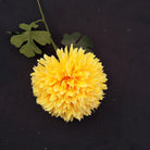 burnt_brown_pom_pom_flower_single_stem