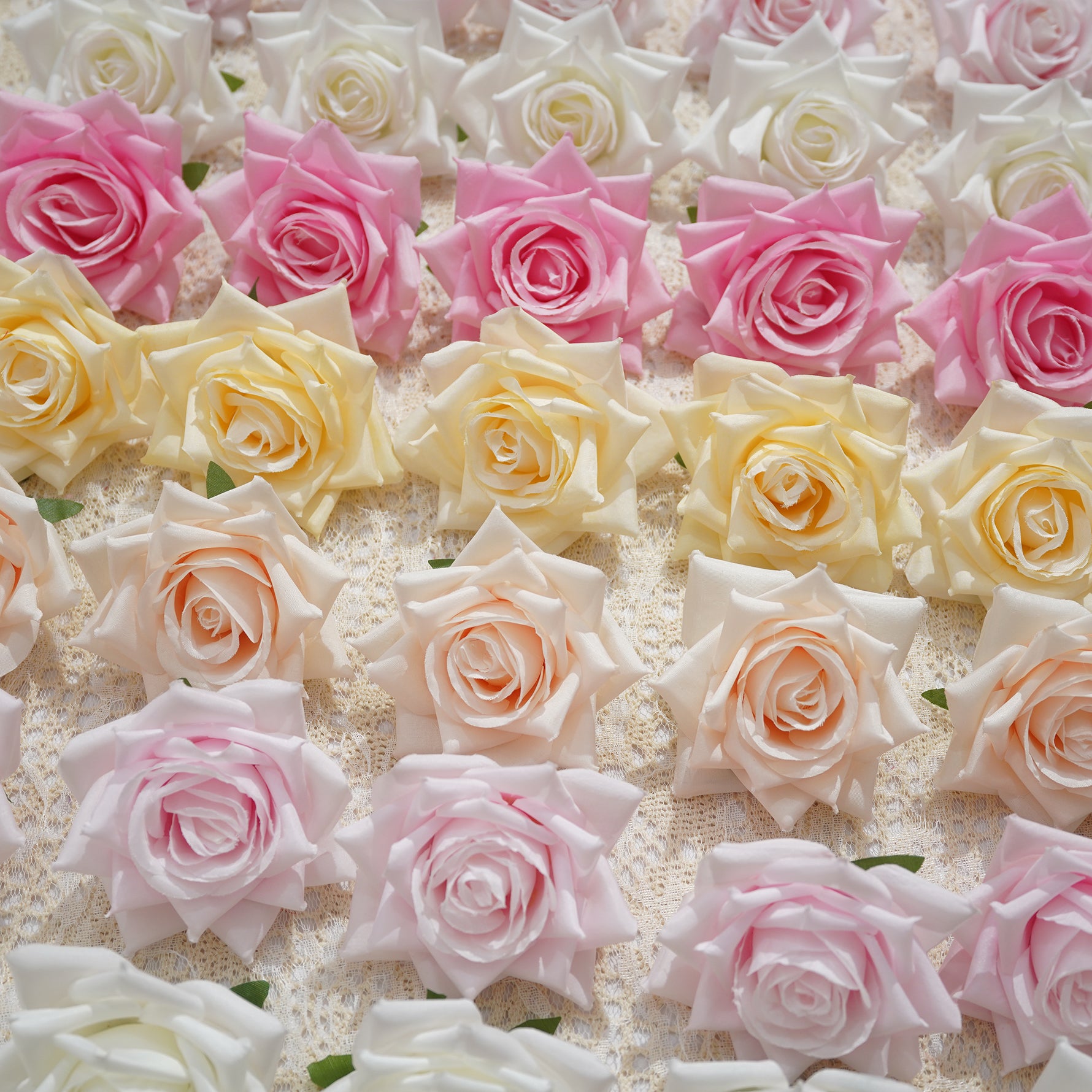 ivory_white_foam_rose_handheld_photo