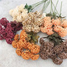 plump_pompon_hydrangea_bulk_filler_blossom