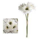 fringed_petal_gerbera_close_up