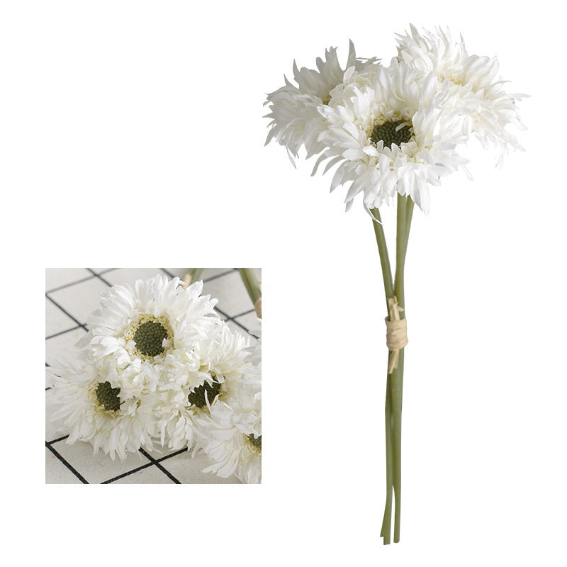 fringed_petal_gerbera_close_up