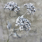 crimson_hydrangea_dense_floral_puff