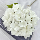 hydrangea-event-decor-flower