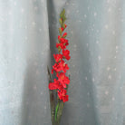 fake_gladiolus_photo_backdrop