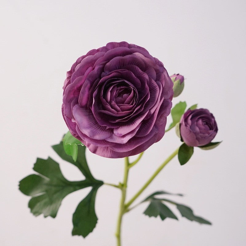 silk_ranunculus_burgundy_dark_flower