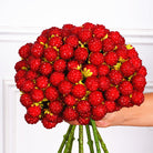 faux red berry branch with foliage for home vase styling