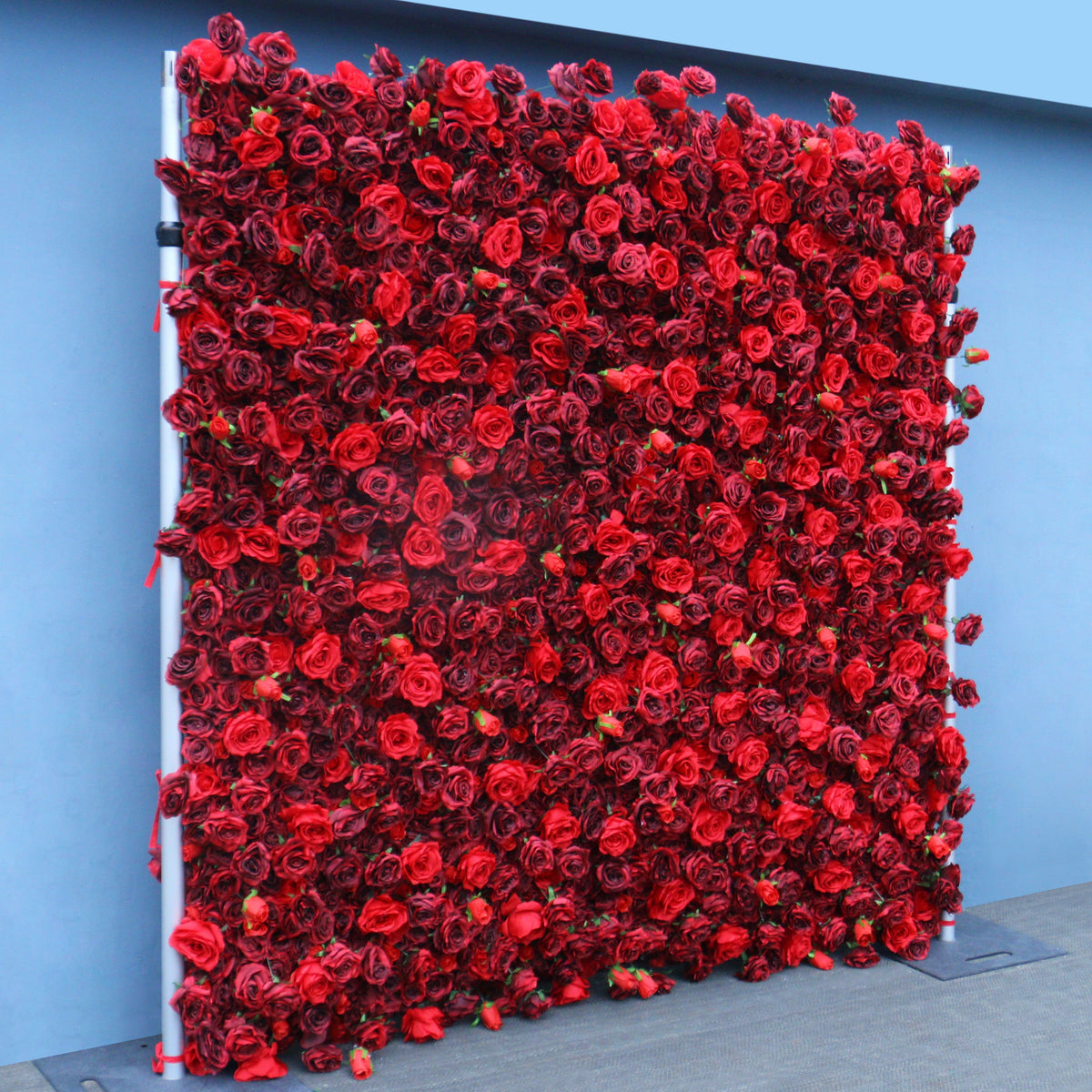  Realistic full‑bloom red rose flower wall for studio and outdoor setting