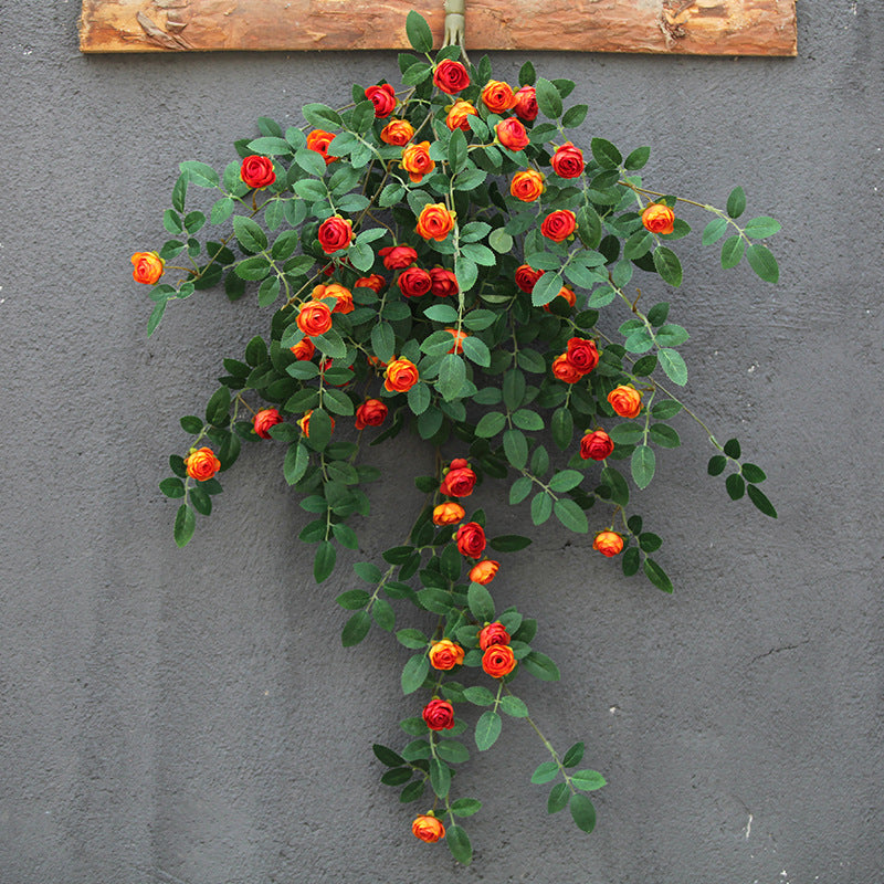 hanging_rose_vine