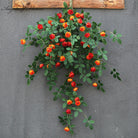 1. artificial_mini_rose_hanging_vine_sunset_orange