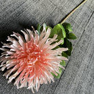 silk_chrysanthemum_coral_flower