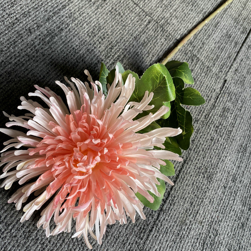 silk_chrysanthemum_coral_flower
