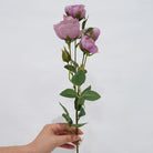 fresh-green-bud-austin-rose-sprig
