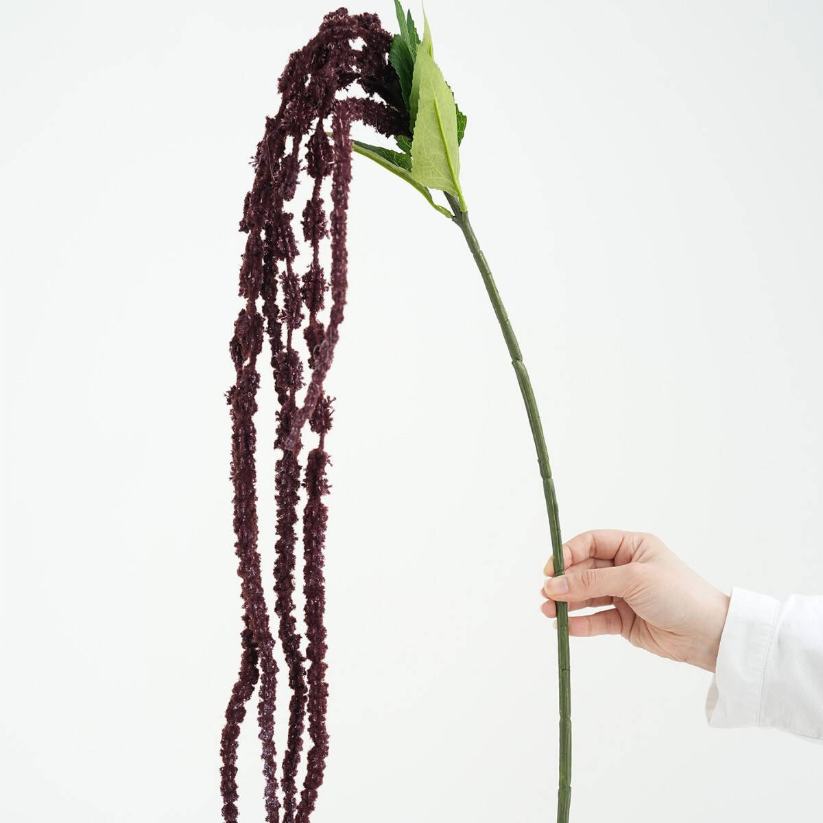 artificial amaranthus for flower wall installation