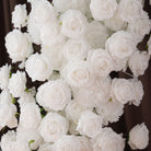 white_rose_bloom_floral_closeup_detail