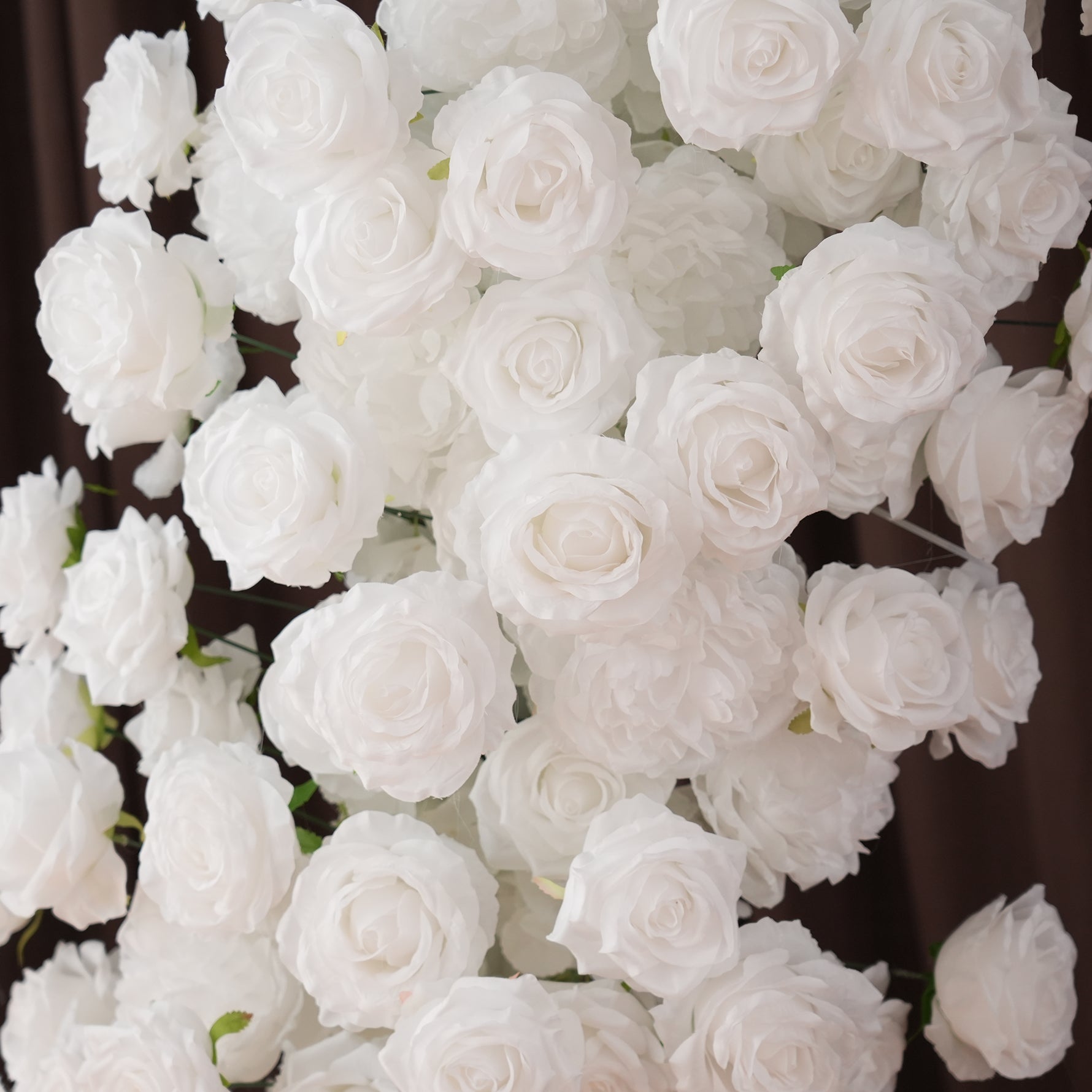 white_rose_bloom_floral_closeup_detail