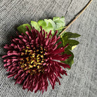 event_chrysanthemum_lavender_hue