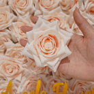 creamy_ivory_foam_rose_flower_heads