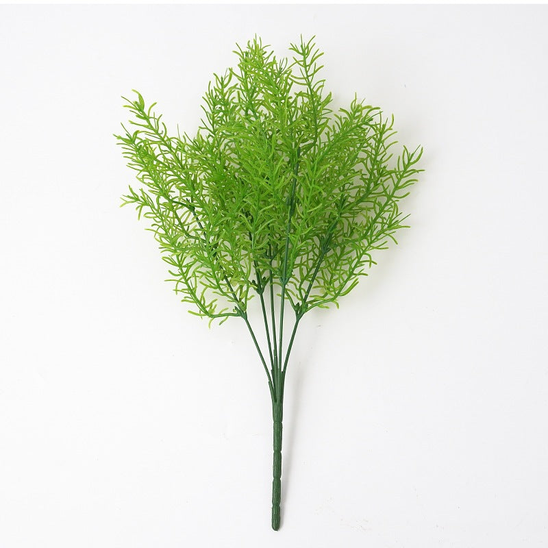 lush_plumosa_fern_photo_prop
