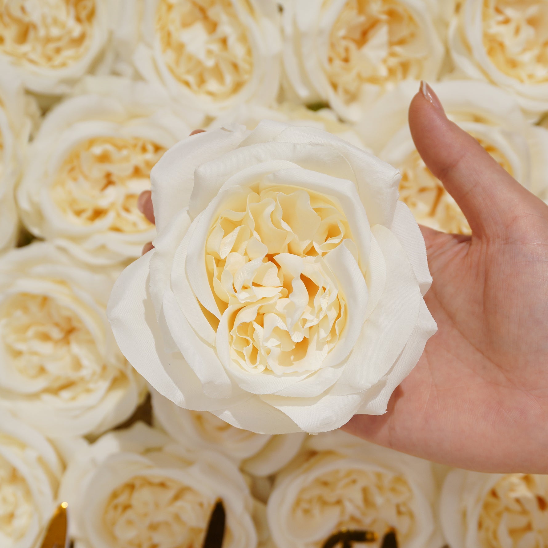 wine faux english rose photo backdrop