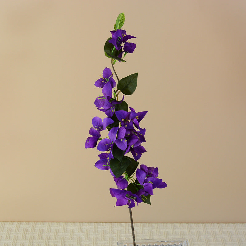 turquoise_bougainvillea_branch